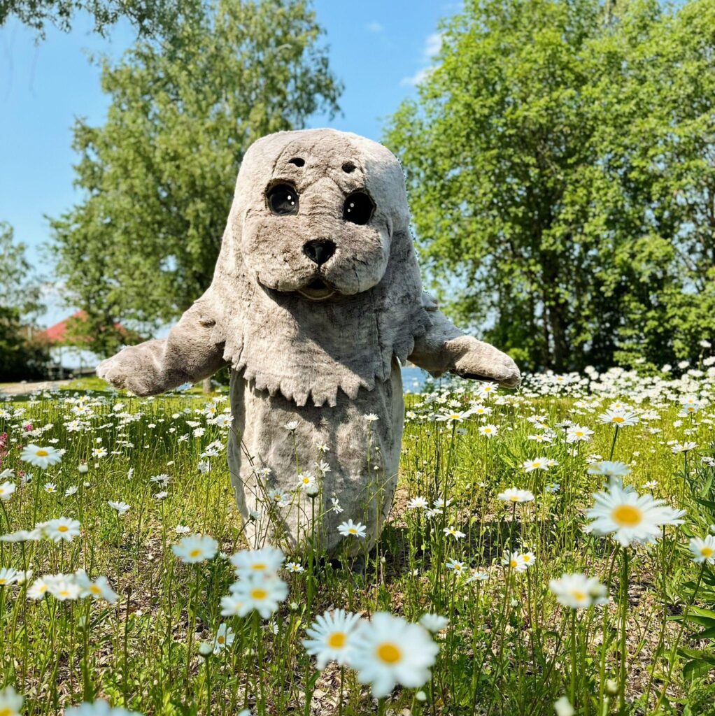 Hyvää juhannusta!